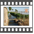 L'acqua, elemento primario della campagna Lomellina (1)