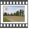 campagna di Lomello (cascine 7)